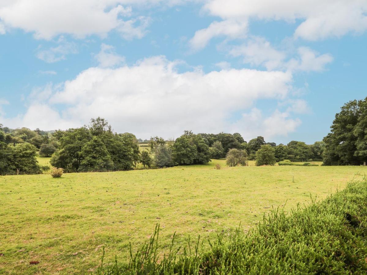Holly Farm Cottage Newbridge on Wye المظهر الخارجي الصورة