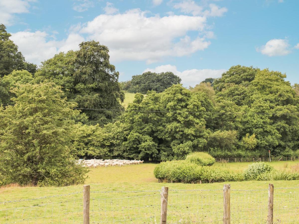 Holly Farm Cottage Newbridge on Wye المظهر الخارجي الصورة